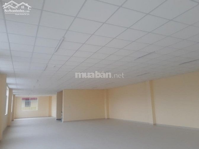 Bán nhà xưởng nằm trong KCN Tân Đô, Đức Hòa, Long An 160,65 tỷ
