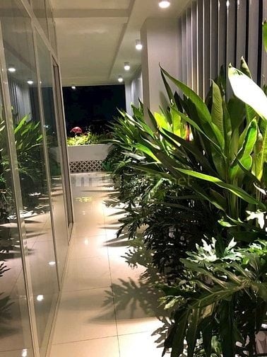 Bán toà Căn hộ dịch vụ 32 phòng Full nội thất, thu nhập 150 triệu/thán