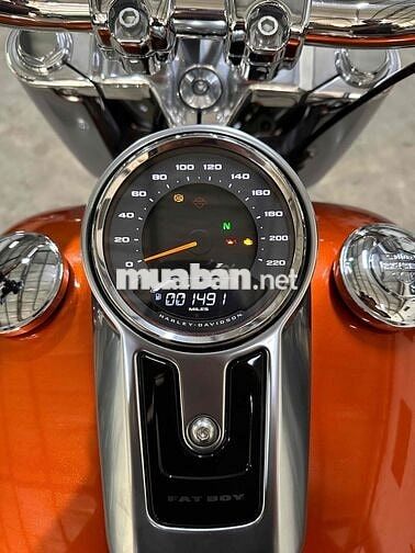 Harley Davidson Fatboy 114 ABS 2019 bản Đặc Biệt