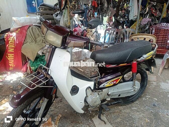 Sanda Boss Đài Loan