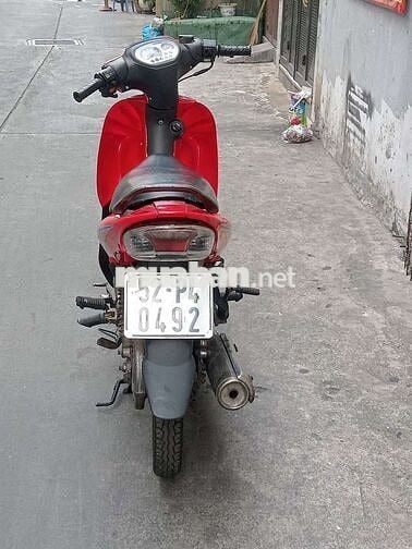 Xe ngon giá rẻ