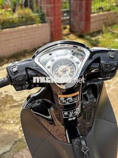 Thanh Lý Shmode 2018 Trắng đen Sport