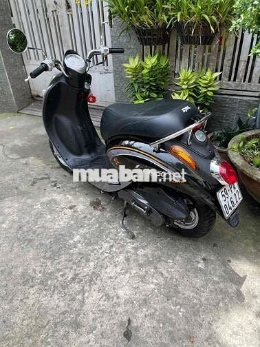 elit 50cc xe bstp 9 chủ