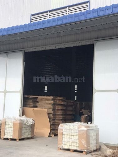 Thời vụ làm công ty giấy làm nhàn