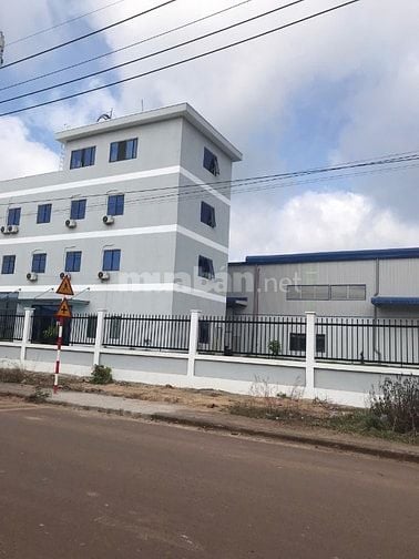 Thời vụ làm công ty giấy làm nhàn