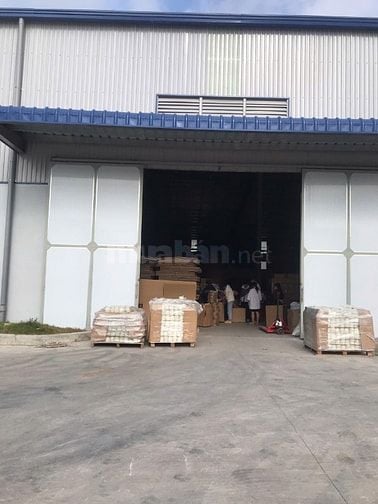 Thời vụ làm công ty giấy làm nhàn