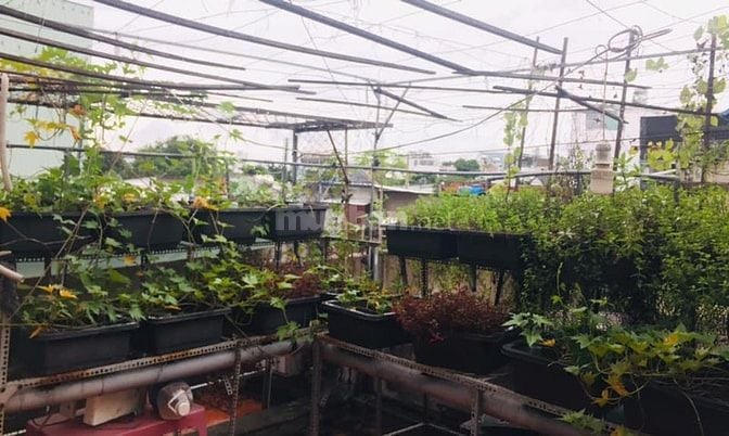 Cho thuê nhà mặt tiền Kênh Tân Hóa, P.Phú Trung, Q.Tân Phú giá 13tr
