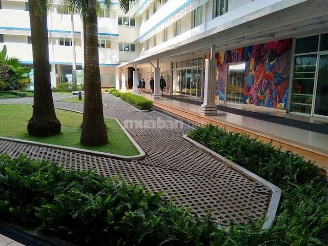 Tuyển dụng 10 Nhân viên Tạp Vụ Vệ Sinh Quận 1, Quận 2, Quận 7, …