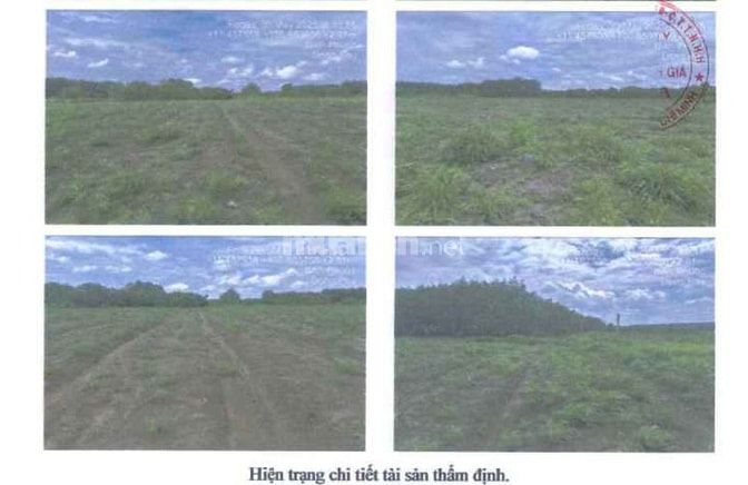 BÁN ĐẤU GIÁ TS MSB L1_KP TÂN AN, TT TÂN PHÚ, ĐỒNG PHÚ, BÌNH PHƯỚC