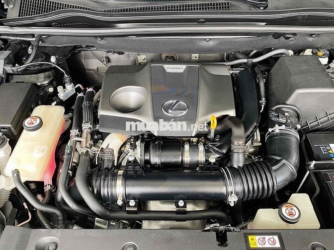 Lexus NX300 2020 1 chủ - 38000 km