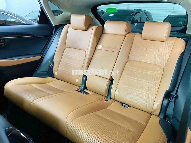 Lexus NX300 2020 1 chủ - 38000 km
