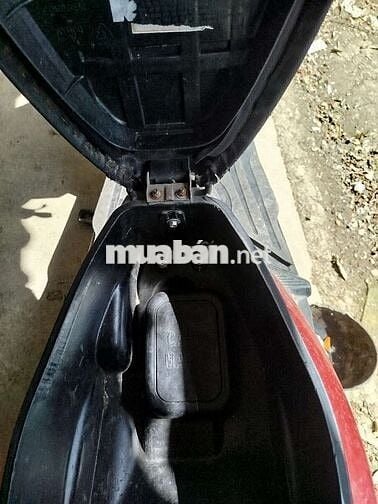 Xe 50cc