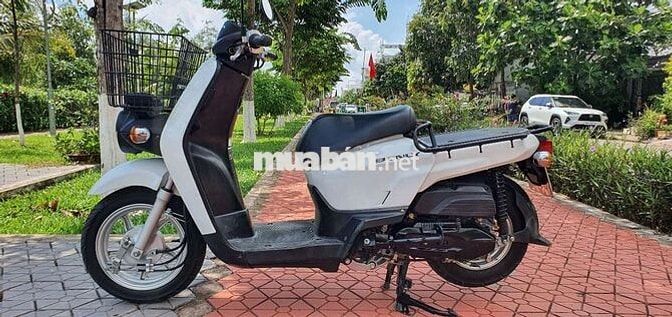 Benly 50