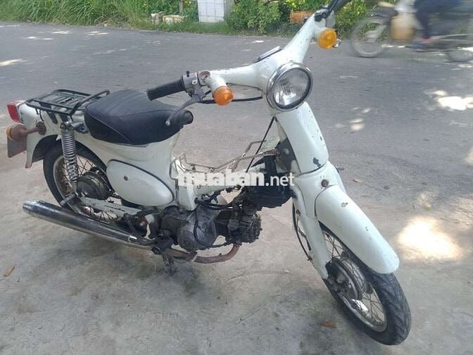 Cub 50 biển Đồng tháp