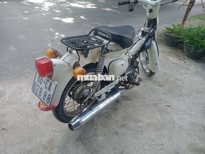 Cub 50 biển Đồng tháp
