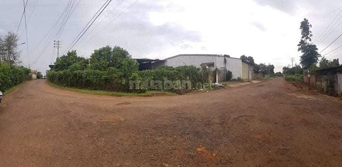 Cho thuê toàn bộ kho xưởng gồm (nhà điều hành, kho xưởng, nhà ở nhân v