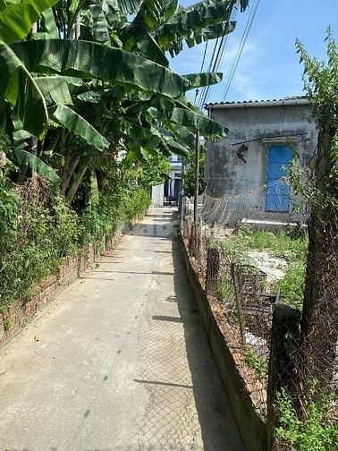 Chính chủ bán gấp 2 lô đất kiệt trung tâm phố cổ Hội an giá rẻ