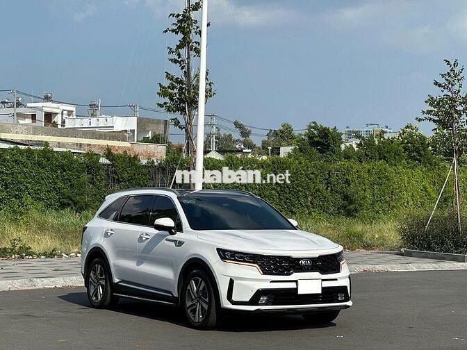 Kia Sorento 2021 2.2D Signature AWD (7 chỗ)