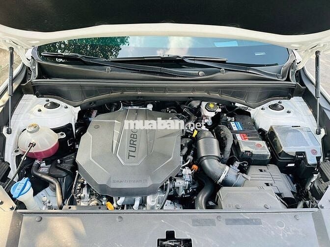 Kia Sorento 2021 2.2D Signature AWD (7 chỗ)