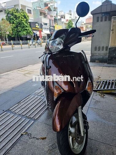 Xe Honda LEAD ( cọp )