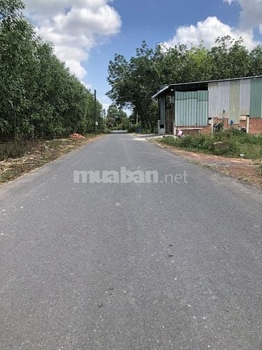 Bán 9,56 triệu/m2 đất ở cạnh KCN Giang Điền 529ha, Đồng Nai + cách sân