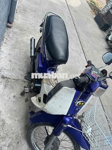 xe kawasaki max 2