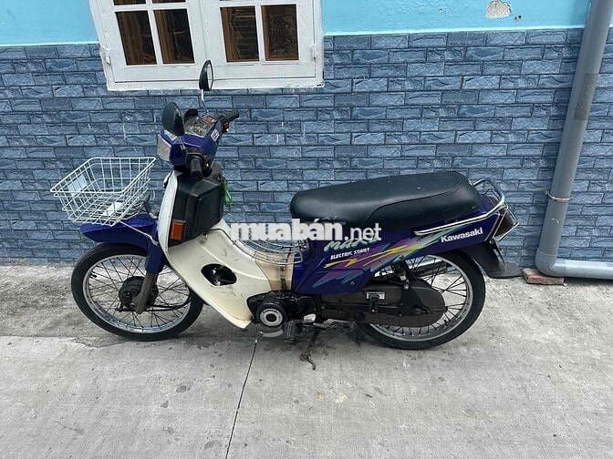 xe kawasaki max 2