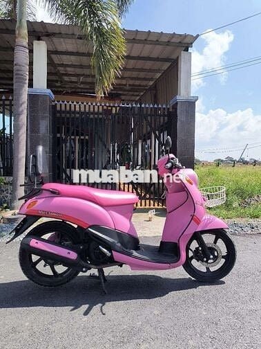 Mio classico dọn hồng nữ tính
