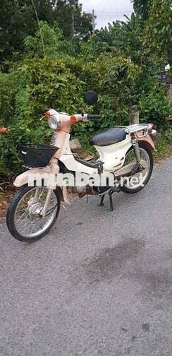 cub 50 có đề