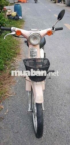 cub 50 có đề