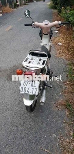 cub 50 có đề