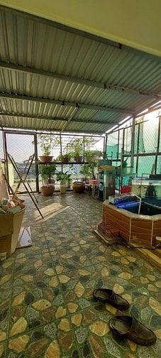 Bán nhà hẻm xe hơi 5m đường An Phú Tây, Hưng Long, Bình Chánh