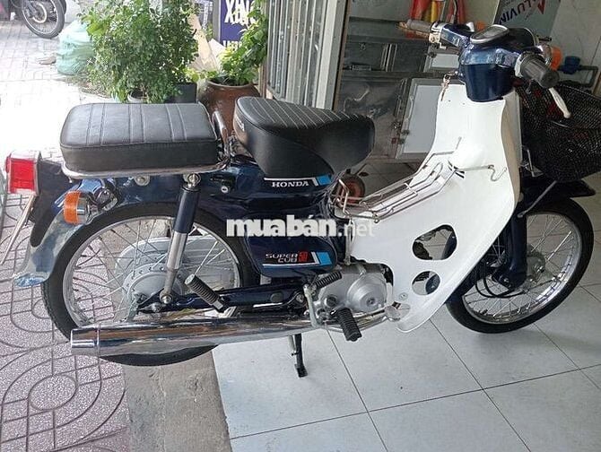 Cub 81 xe 50 phân khối bstp