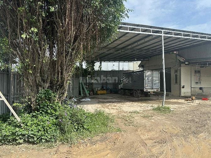 CHO THUÊ ĐẤT KHO XƯỞNG 1600M2 – Hóc Môn– XE TẢI LỚN VÔ TƯ