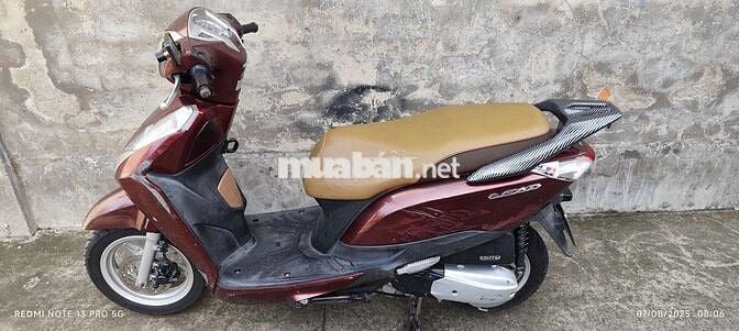 Lead 125