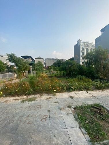 Chính chủ bán đất 356m2 lô góc mặt tiền 24m  số 565 Lạc Long Quân