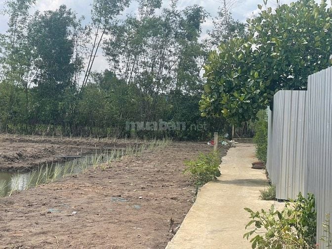 Ngộp ngân hàng bán đất vườn 1450m ,lô nhì Nguyễn Văn Thời ,giá 2.5 tỷ