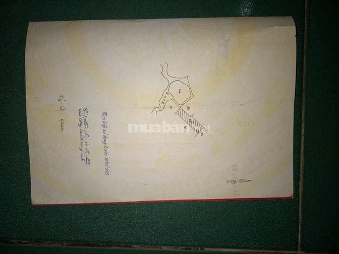 Ngộp ngân hàng bán đất vườn 1450m ,lô nhì Nguyễn Văn Thời ,giá 2.5 tỷ