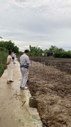 Ngộp ngân hàng bán đất vườn 1450m ,lô nhì Nguyễn Văn Thời ,giá 2.5 tỷ