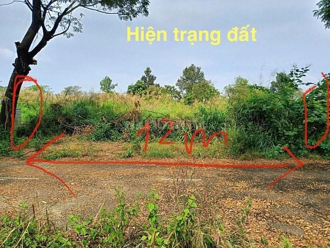 Bán đất biệt thự ven sông đường Tam Đa Quận 9 dự án Đại Học Mở 298m2