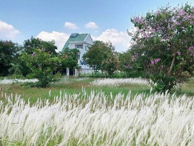 Bán đất biệt thự ven sông đường Tam Đa Quận 9 dự án Đại Học Mở 298m2