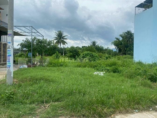 Công ty đấu giá hợp danh Sao Việt 