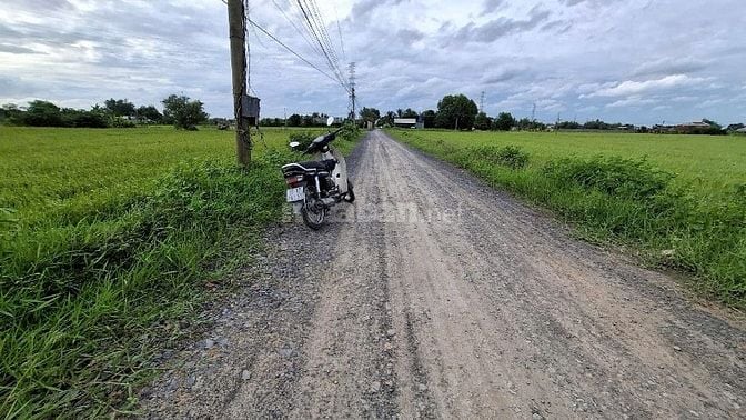 Chính chủ bán lô đất ấp sò đôi, đường 6 m, thị trấn hậu nghĩa, Đức Hoà