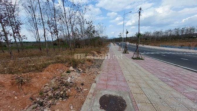 Bán đất  mặt tiền đường 30m thành phố Kon Tum