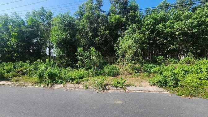 Lô Đất 15x60( 897m2) 175m2 Thổ Cư Trưng Nhị Tân An Giá Cực Ngộp