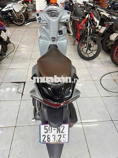 vision zin êm ngay chủ bstp
