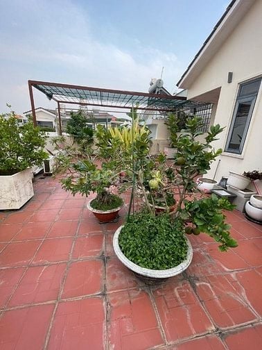 Chủ gửi bán nhanh căn biệt thự diện tích lớn 360m KDC Sadeco, giá tốt