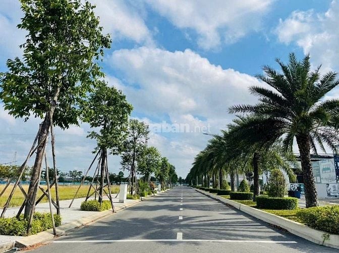 BẾN LỨC GIÁP BÌNH CHÁNH, SỔ SẴN CÔNG CHỨNG NGAY, GIÁ CẠNH TRANH