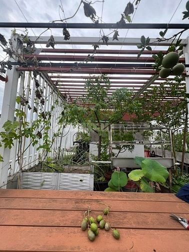 Bán nhà Hoàng Văn Thái 4 tầng, 50m2, ô tô tránh, phân lô. 15,7 tỷ