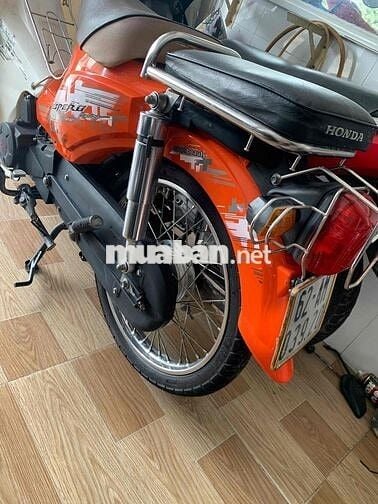 cup 50cc 2022